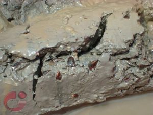 مقاله ژئوشیمی رسوبات رودخانه میرآباد با نگرشی ویژه برآلودگی فلزات سنگین
