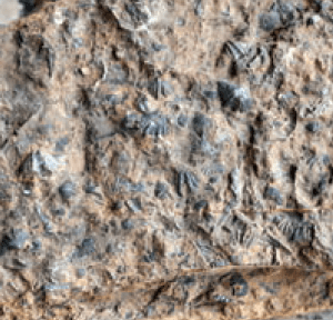 تحقیق میزان  استحکام سنگ‌های دگرگونی